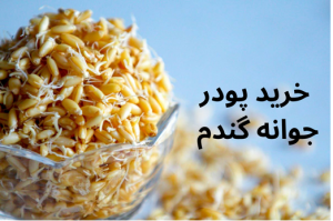 خرید پودر جوانه گندم