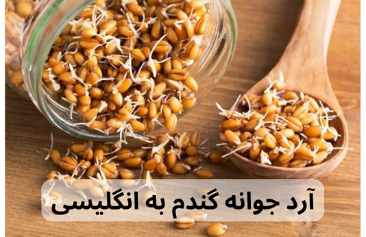 آرد جوانه گندم به انگلیسی