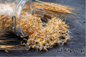 پودر جوانه گندم