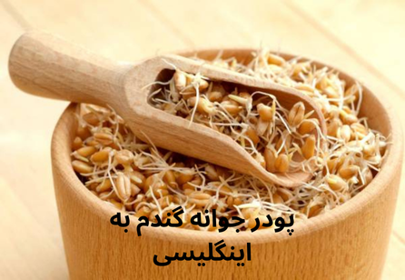 پودر جوانه گندم به اینگلیسی