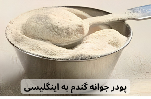 پودر جوانه گندم به اینگلیسی