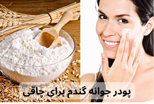 پودر جوانه گندم برای چاقی