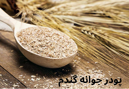 پودر جوانه گندم